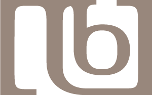 bottom-logo-icon